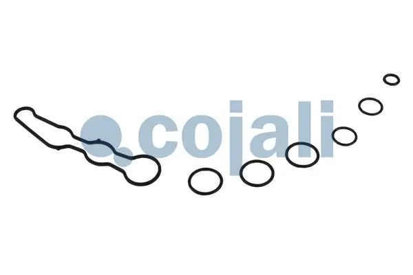 6012291 Cojali Kit de reparação de separador de umidade (TRUCK)
