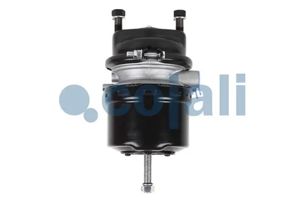 Câmara do freio (Acumulador de energia) Knorr-bremse K007647