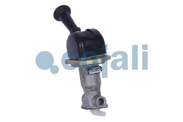 2224403 Cojali