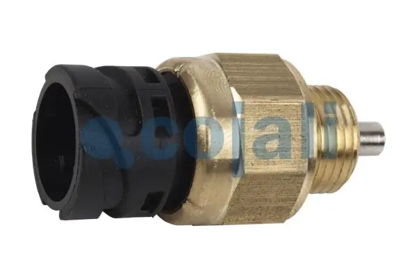 Compre 81255250257 MAN Sensor de ativação das luzes de marcha à ré
