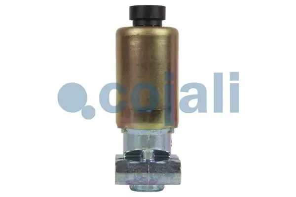 Solenoide (válvula eletromagnética) da caixa de transferência 81521606115 Neoplan