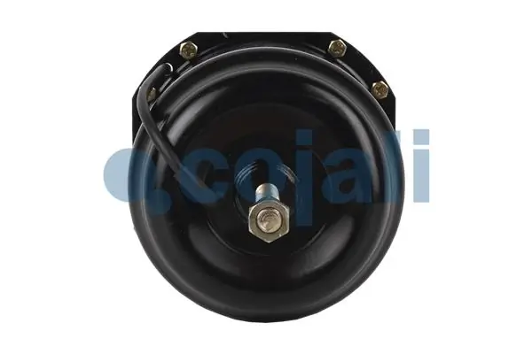 Compre 1912986 Scania Câmara do freio (Acumulador de energia)