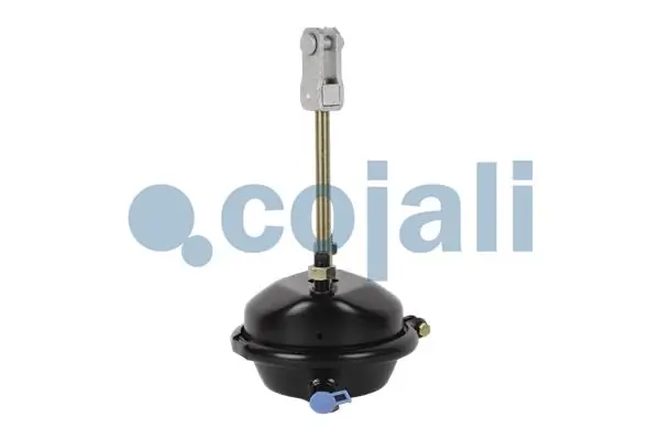 Compre 0004209124 Mercedes Câmara do freio (Acumulador de energia)