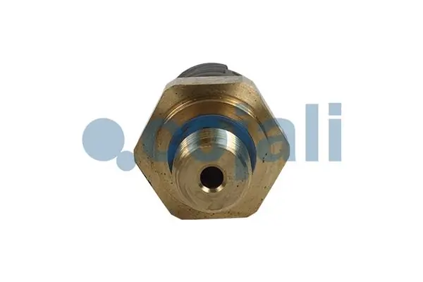 Sensor de pressão de óleo para DAF 105 XF 
