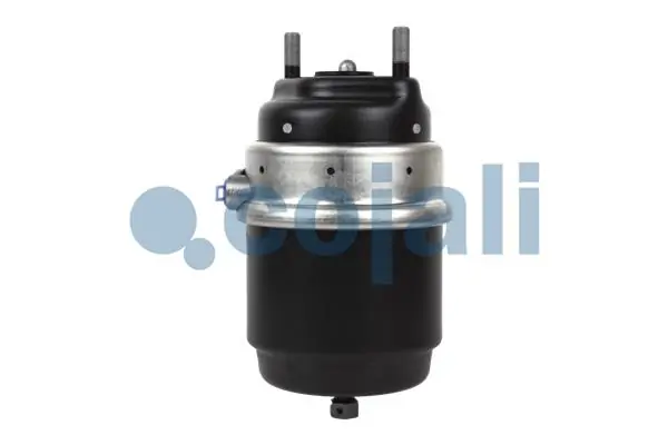 Câmara do freio (Acumulador de energia) Iveco 99474409 preço, a partir de 326,50 USD