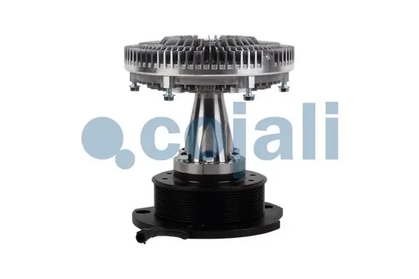 7053144 Cojali