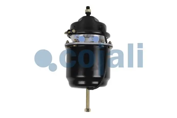 Compre 1912986 Scania Câmara do freio (Acumulador de energia)