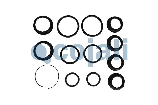7420562630 Renault (RVI) Kit de reparação da Caixa de Mudança