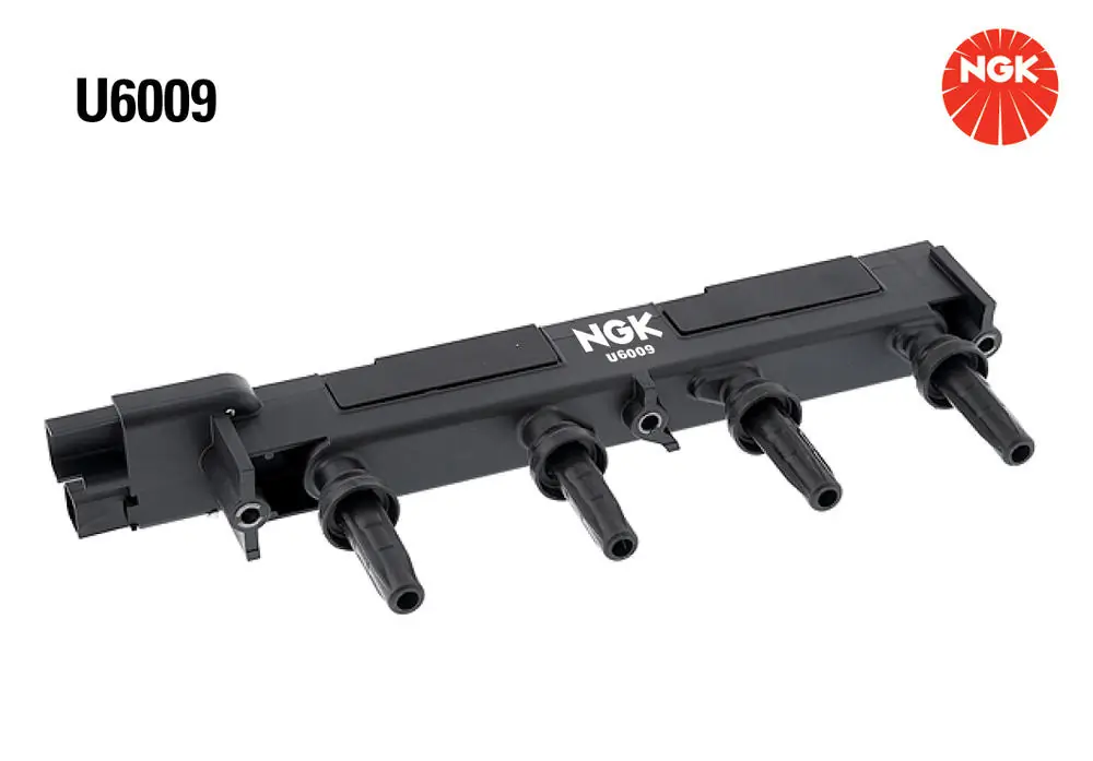 U6009 NGK