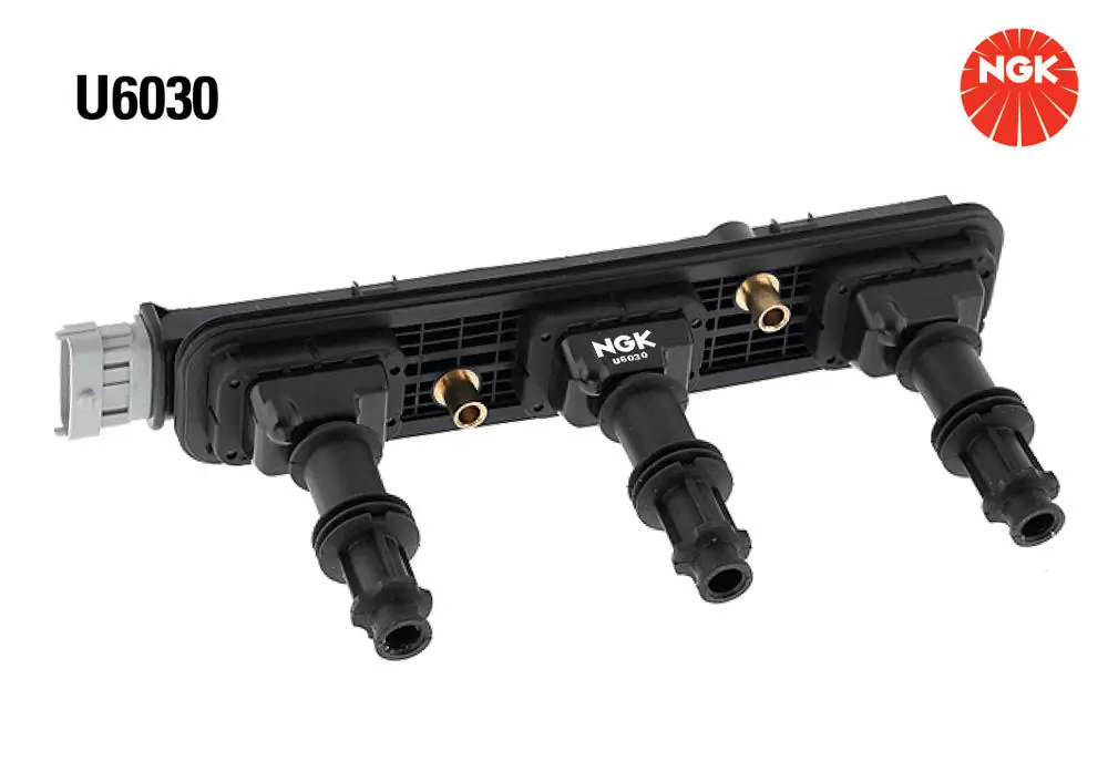 U6030 NGK