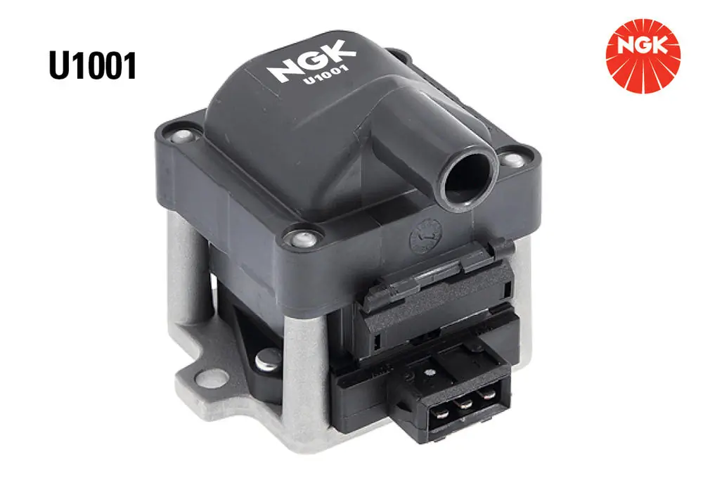 U1001 NGK
