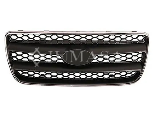  Grelha do radiador Hyundai Santa Fe II SUV (CM) (2006 - 2012) II