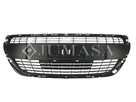 1613485580 Peugeot/Citroen Grelha do radiador