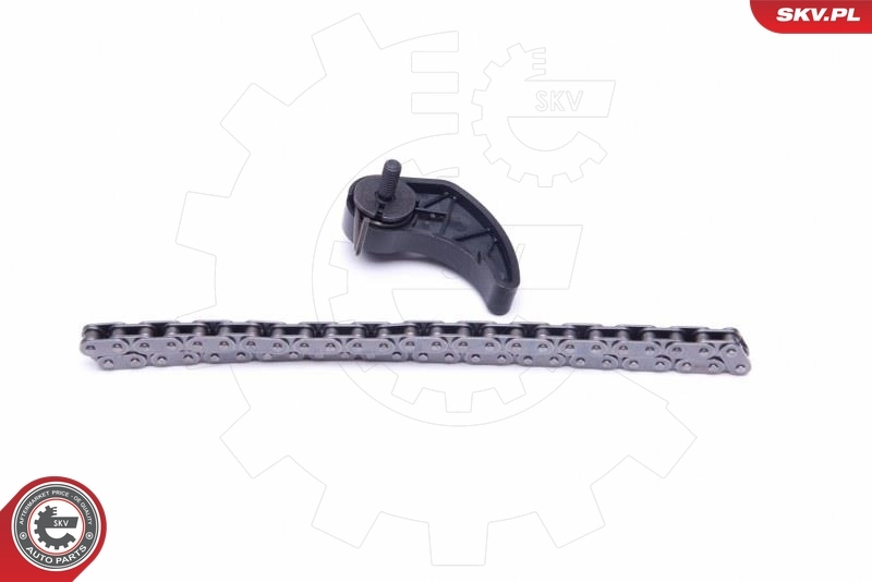 Compre Cadeia de bomba de óleo Volkswagen Golf 4