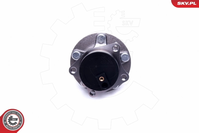 Cubo traseiro SKV 29SKV379 preço, a partir de 80,06 USD