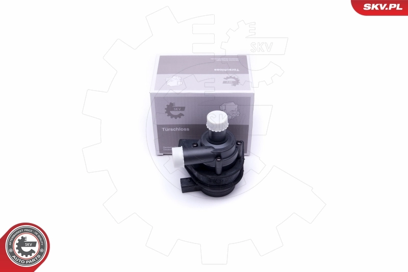 22SKV025 SKV