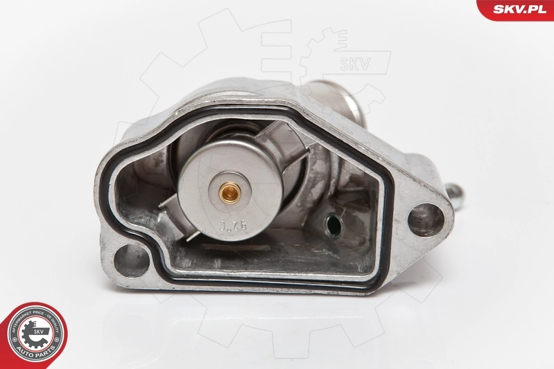 20SKV012 SKV Termostato