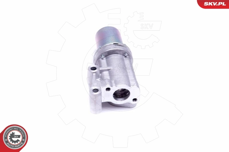 Válvula EGR de recirculação dos gases SKV 14SKV211 preço, a partir de 75,17 USD