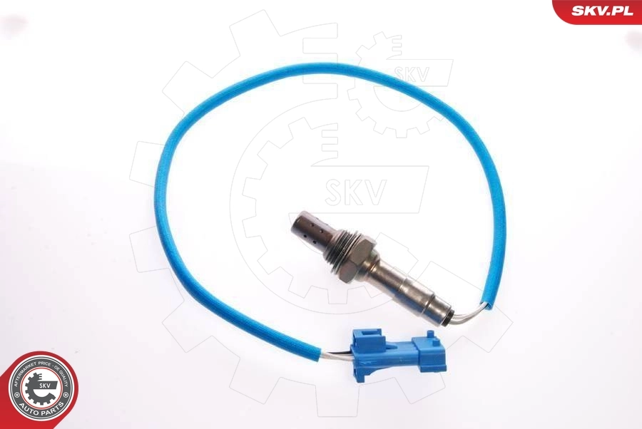 09SKV062 SKV