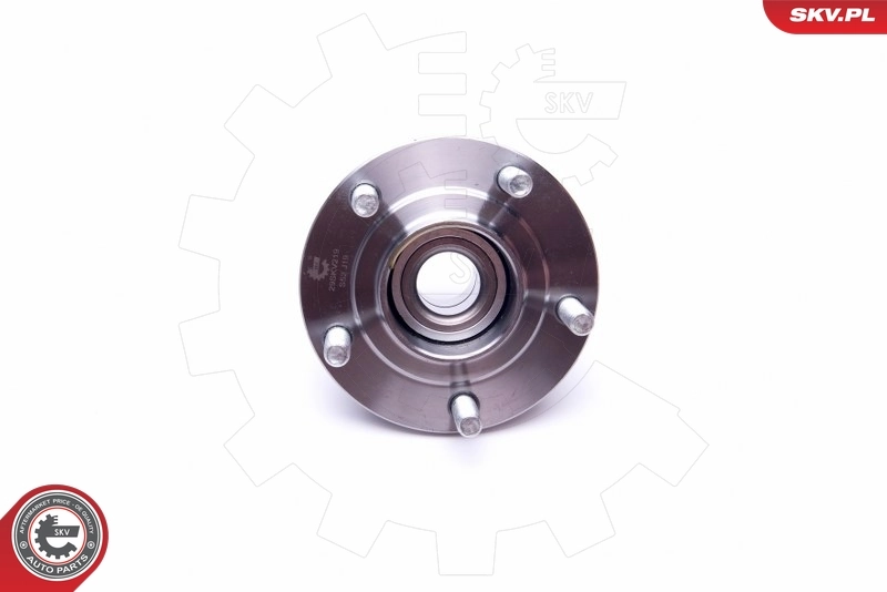 Compre 29SKV219 SKV Cubo traseiro