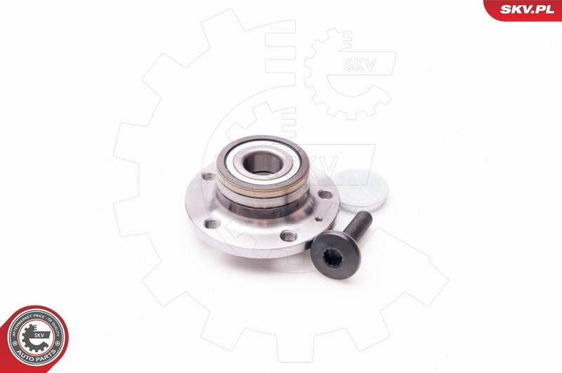 Compre 29SKV006 SKV Cubo traseiro