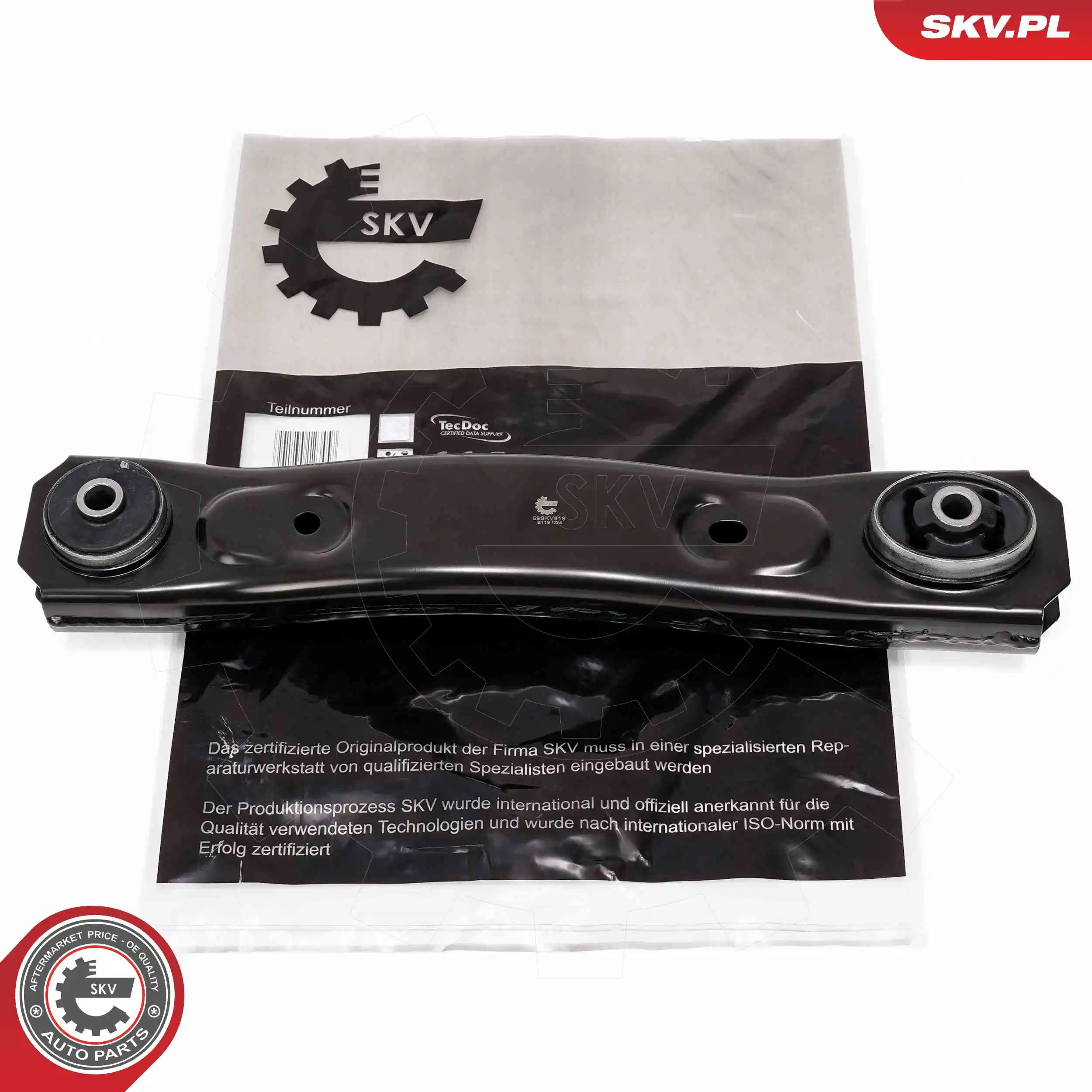 69SKV819 SKV