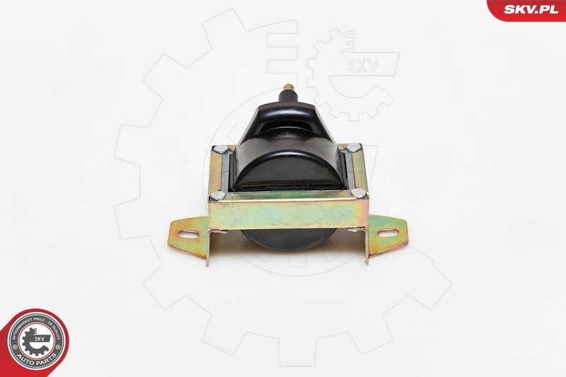 03SKV119 SKV