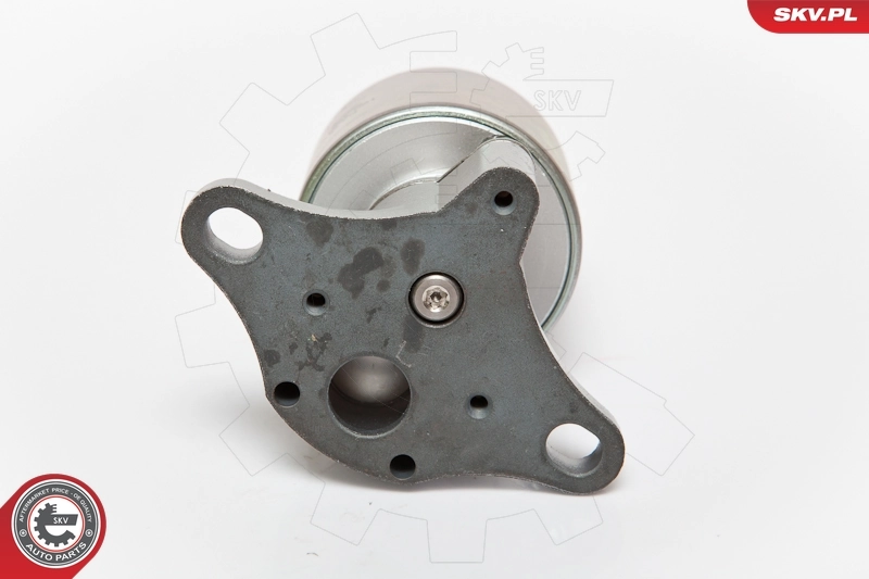 Compre 14SKV056 SKV Válvula EGR de recirculação dos gases