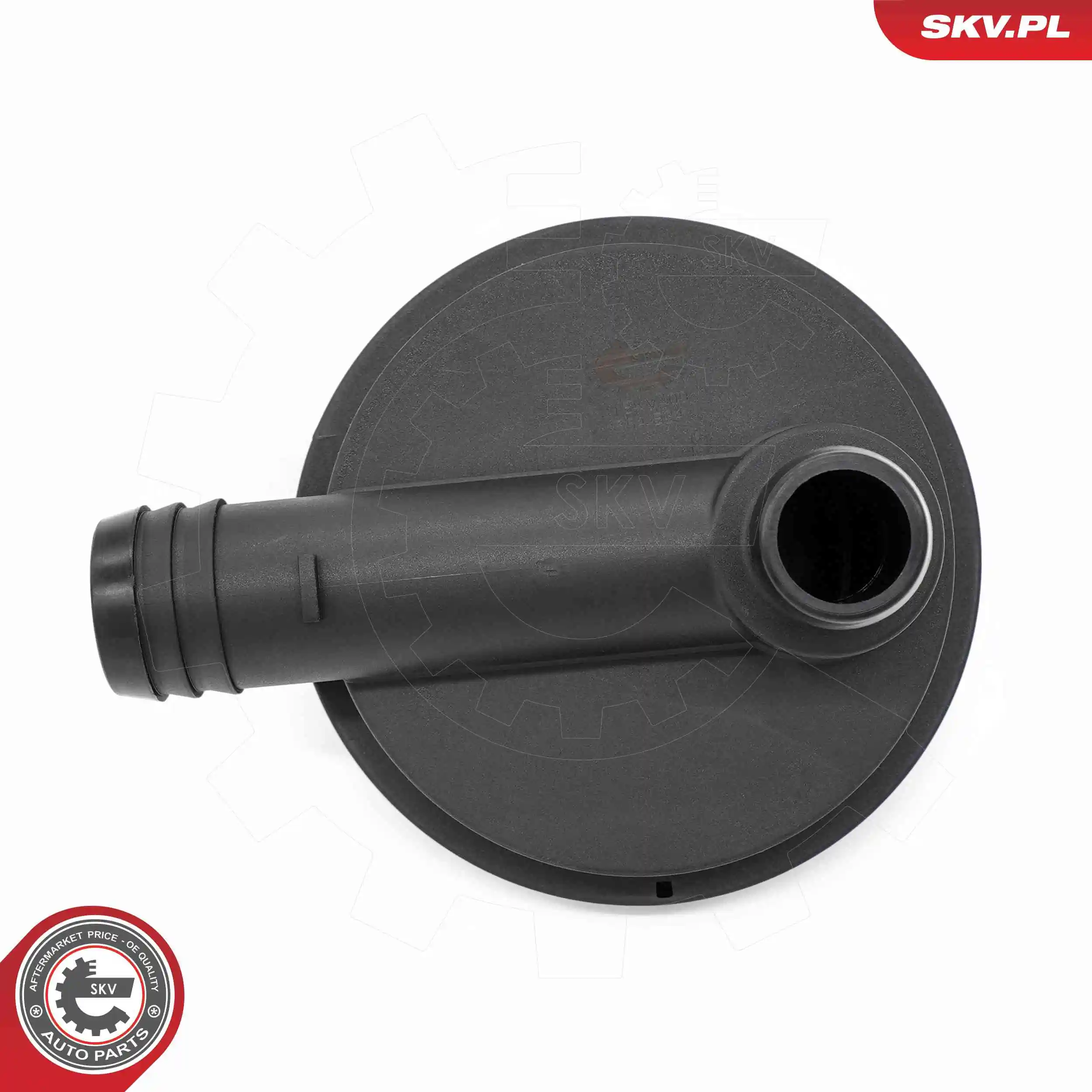 Compre 31SKV409 SKV Válvula PCV de ventilação dos gases de cárter