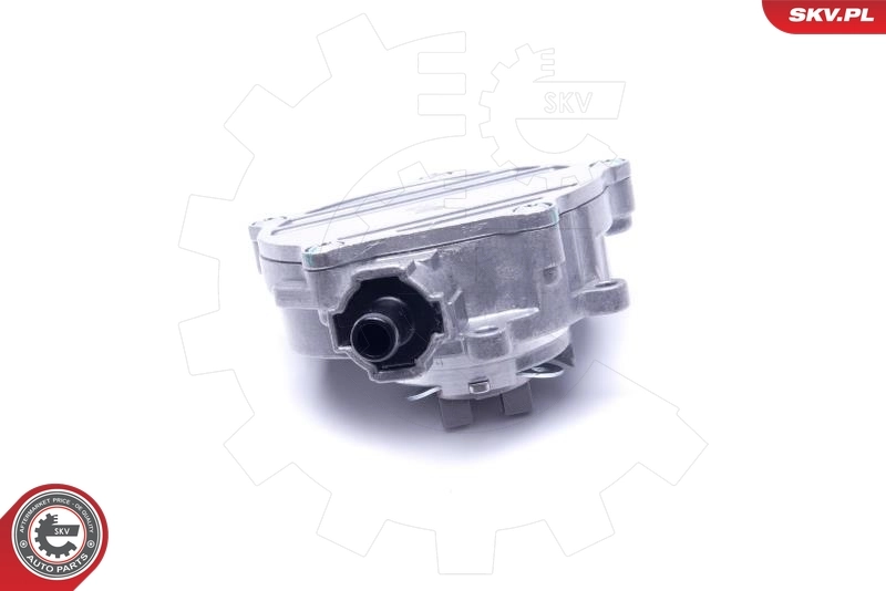 Compre 18SKV033 SKV Bomba a vácuo