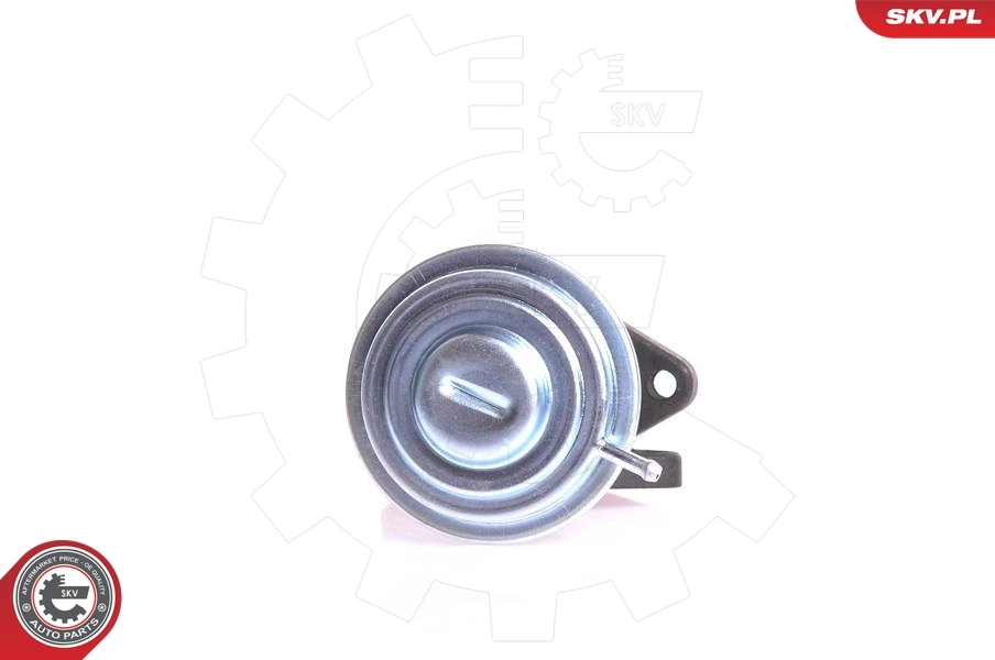 Compre Válvula EGR de recirculação dos gases Audi 100 
