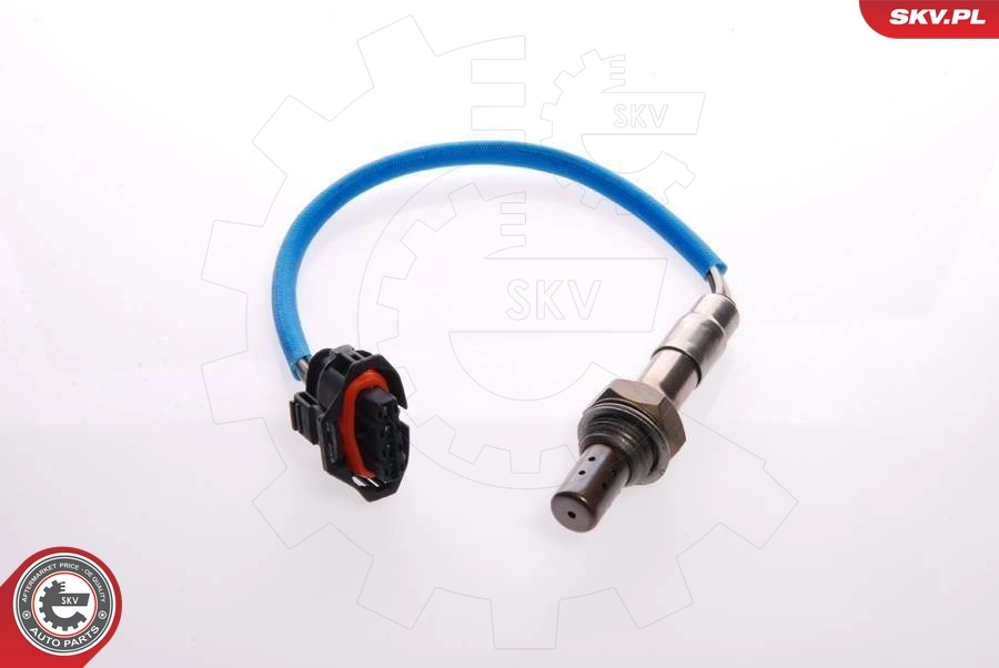 09SKV073 SKV
