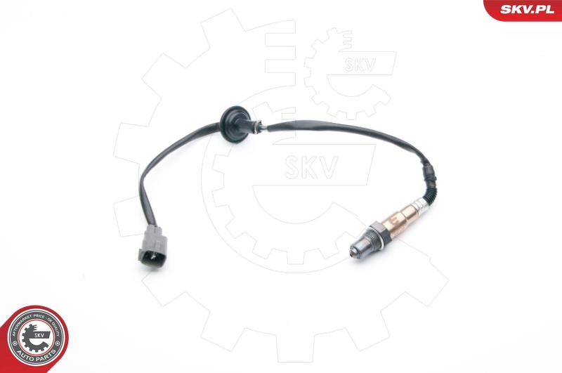 Comprar  Avensis  T22