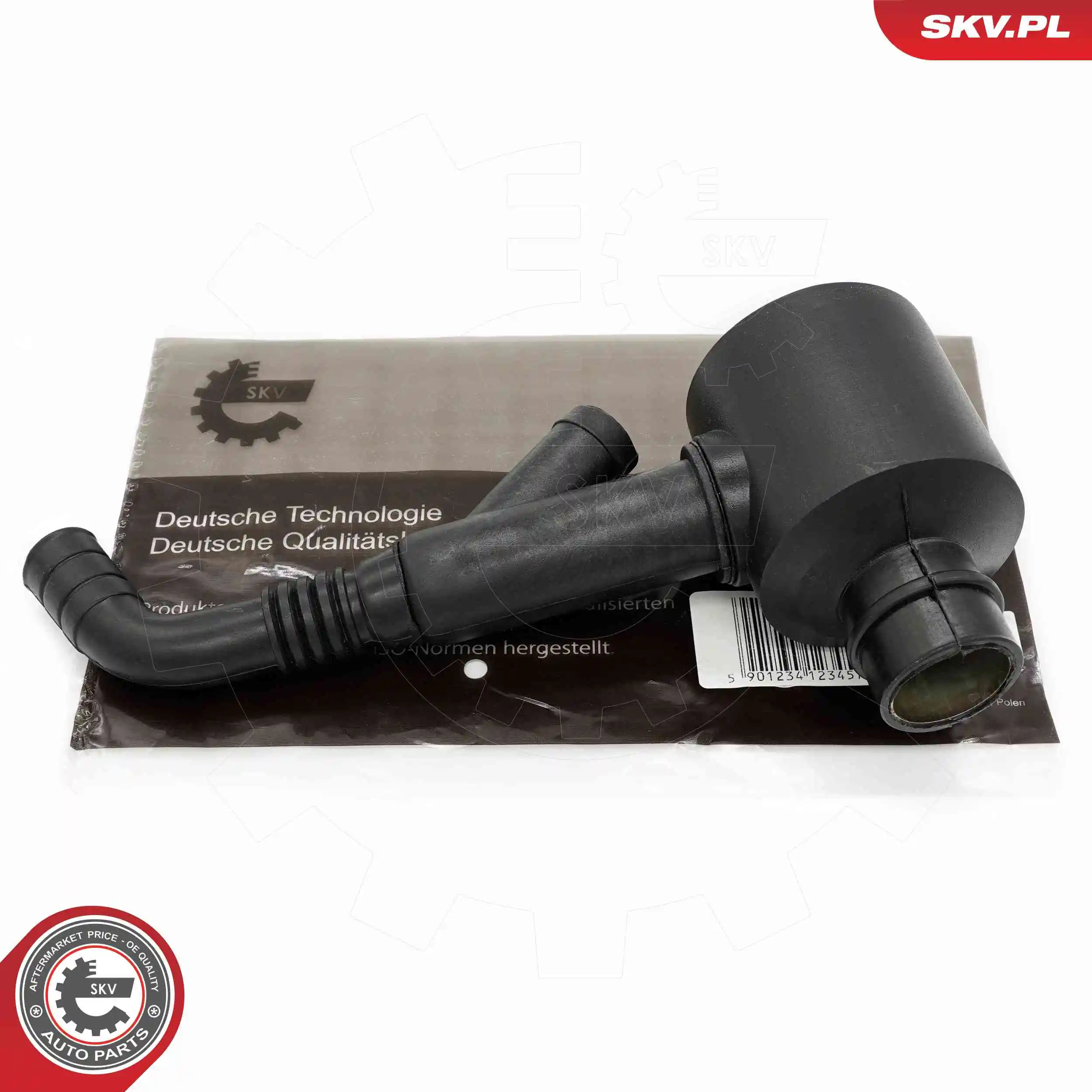 31SKV269 SKV