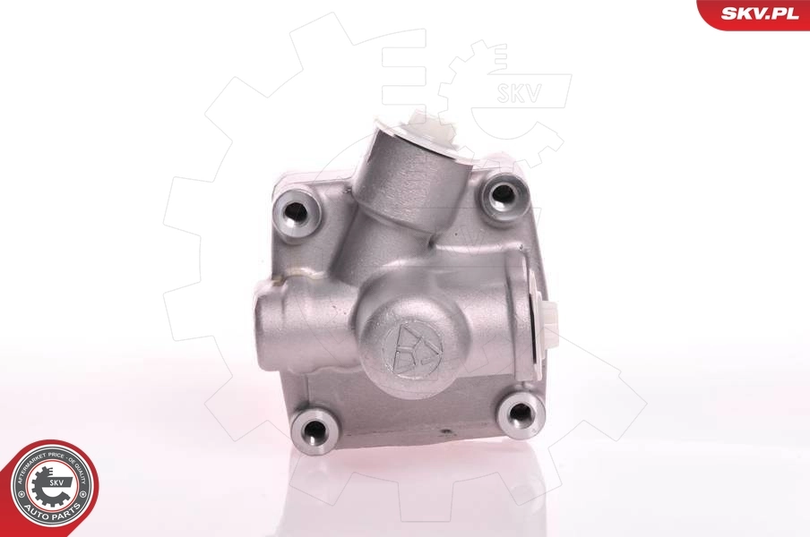 Compre 10SKV125 SKV Bomba da Direção hidrâulica assistida