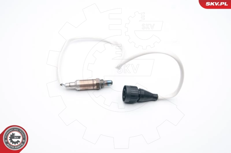  NGK 273