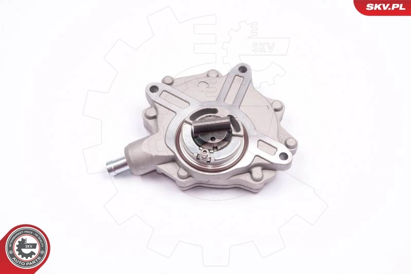 18SKV015 SKV