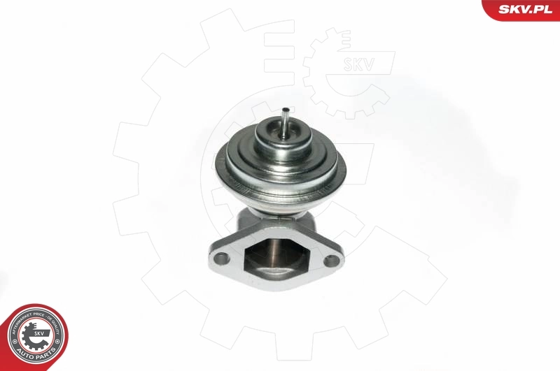 14SKV049 SKV