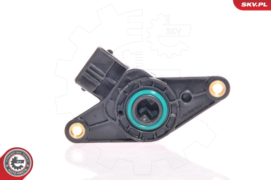 17SKV008 SKV Sensor de posição da válvula de borboleta (potenciômetro)
