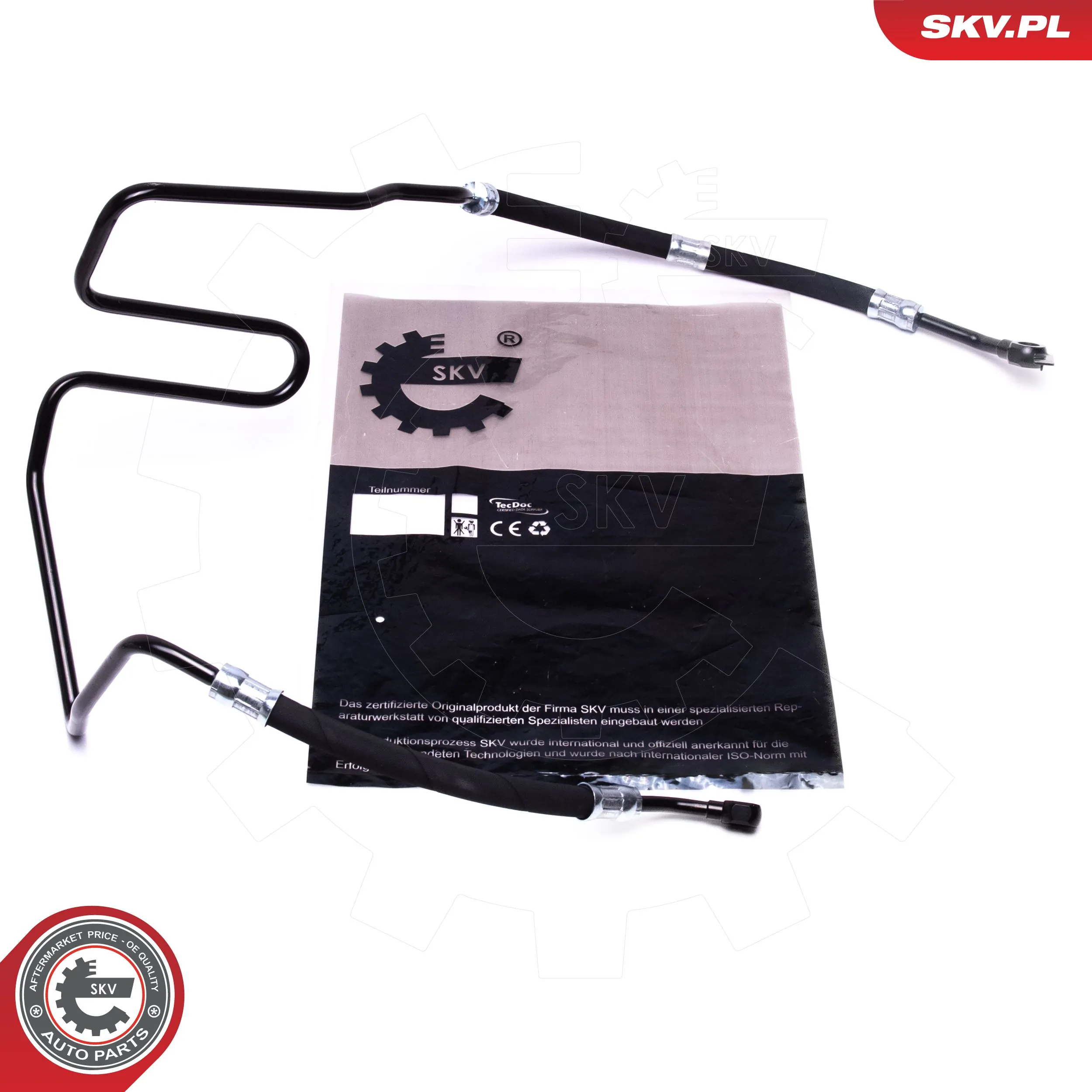 10SKV859 SKV