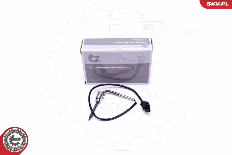 30SKV291 SKV