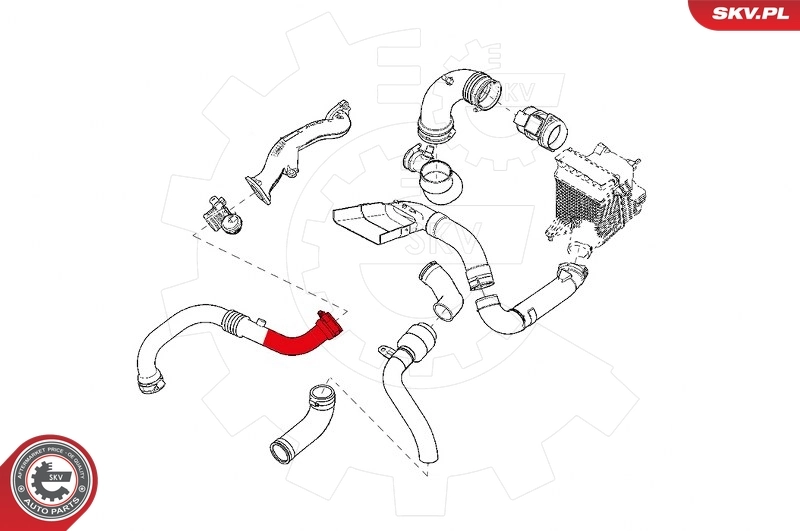 Compre 24SKV964 SKV Mangueira (cano derivado) de intercooler
