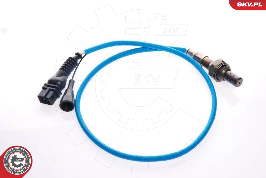 09SKV021 SKV