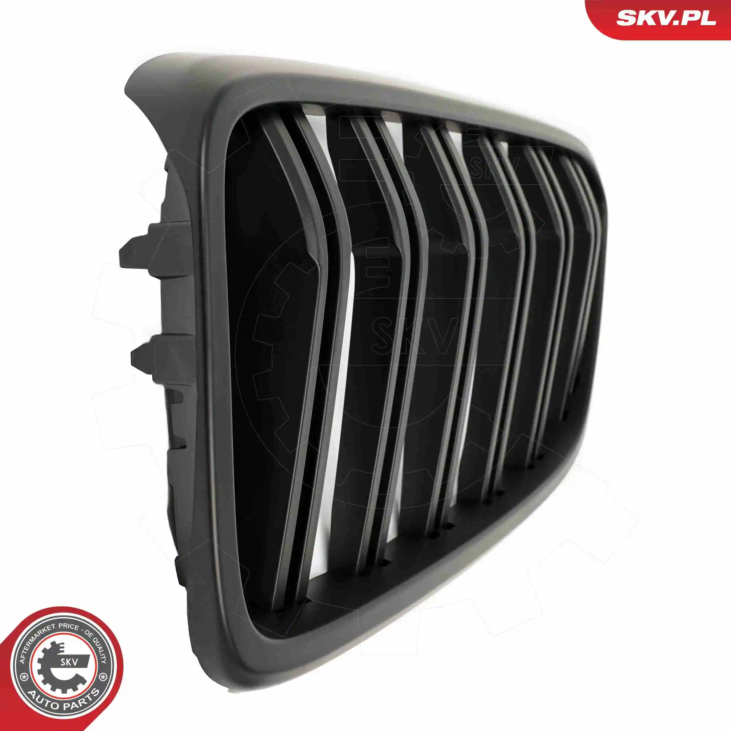 Compre Grelha do radiador BMW 6 