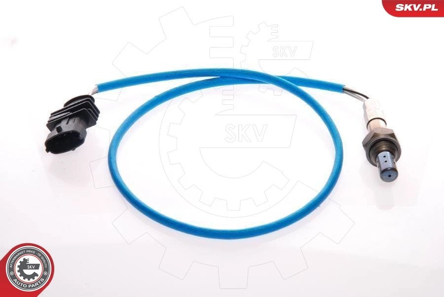 09SKV074 SKV