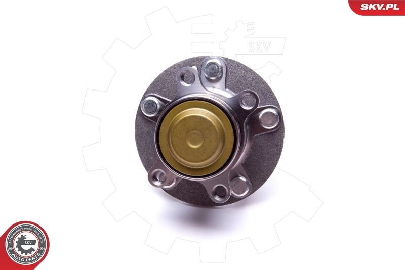 Compre 29SKV559 SKV Cubo traseiro