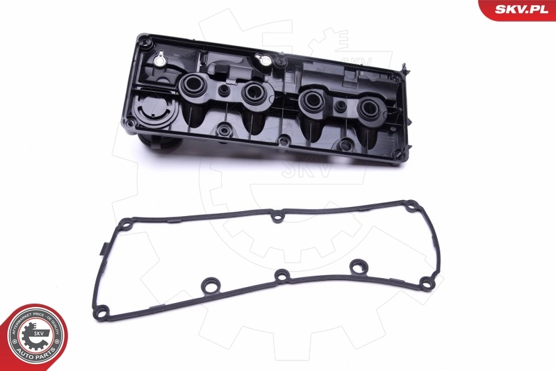 Compre 48SKV019 SKV Tampa de válvulas