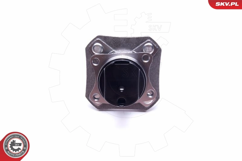 Cubo traseiro SKV 29SKV516 preço, a partir de 56,39 USD
