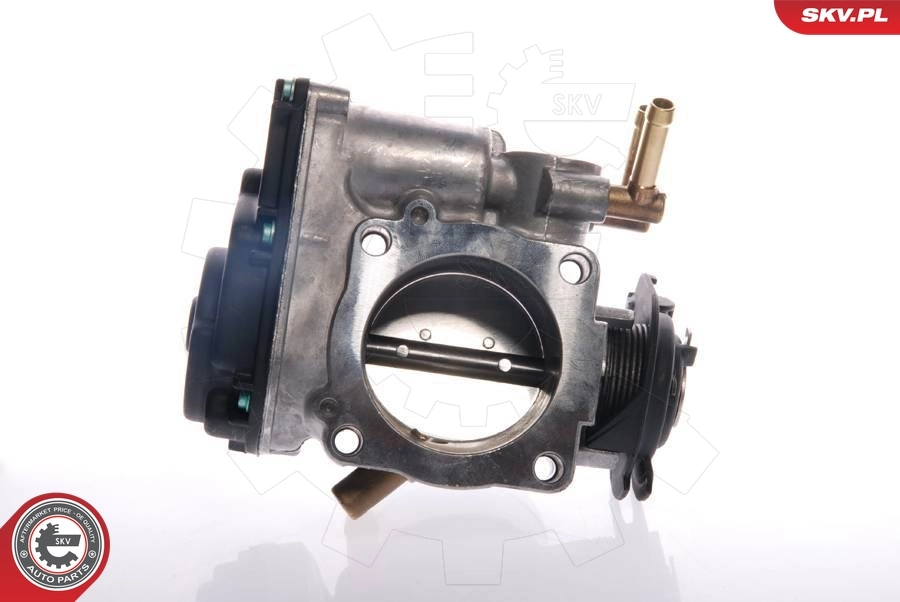 Compre Válvula de borboleta montada Seat Toledo 1