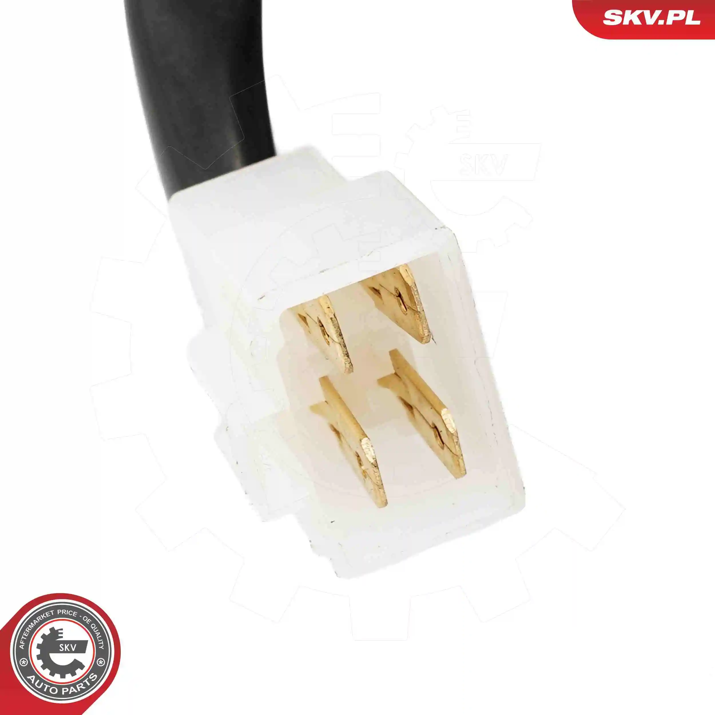  SKV 19SKV222